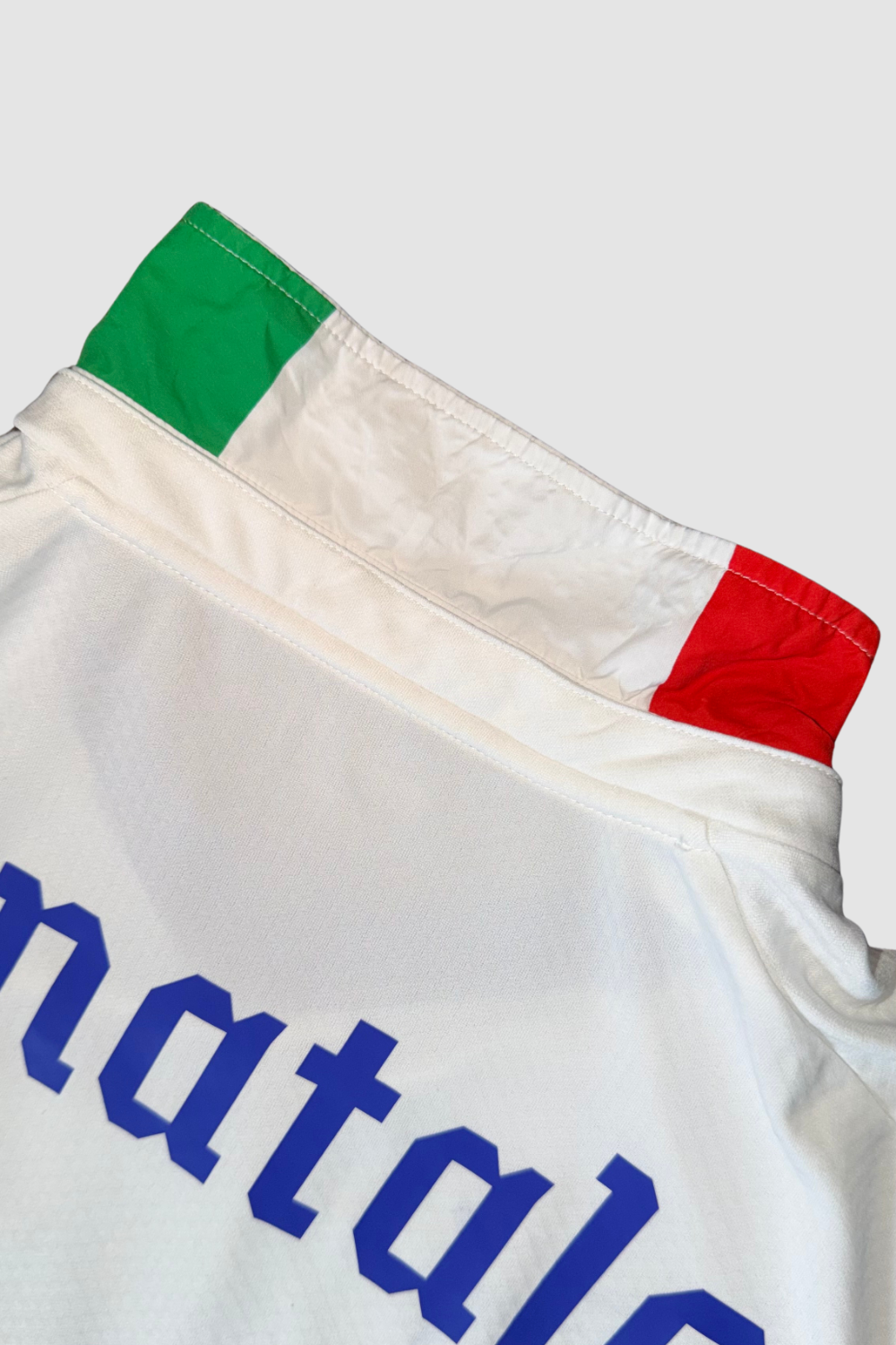 Italy World Cup 2010 Antonio Di Natale