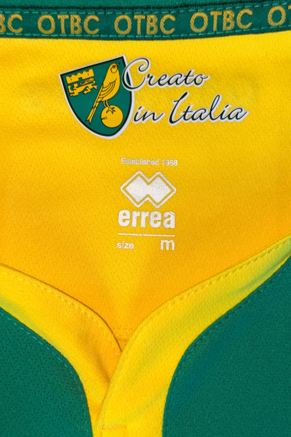 Norwich City 2014-2015 Leroy Fer