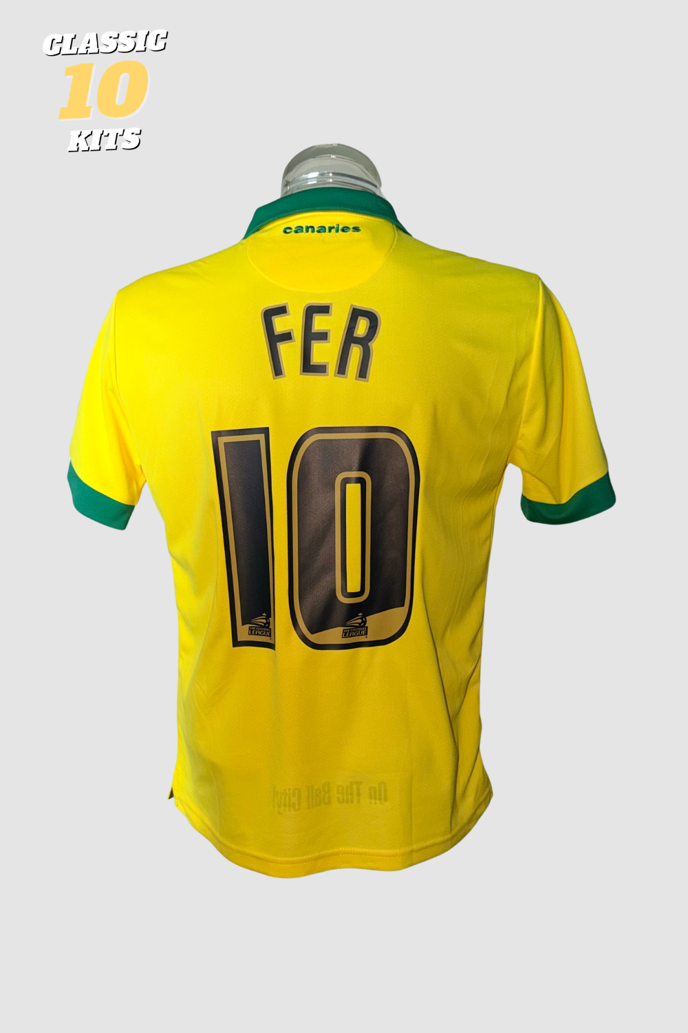 Norwich City 2014-2015 Leroy Fer