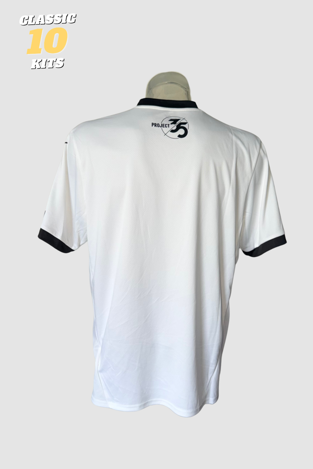 Plymouth Argyle FC 2024-2025