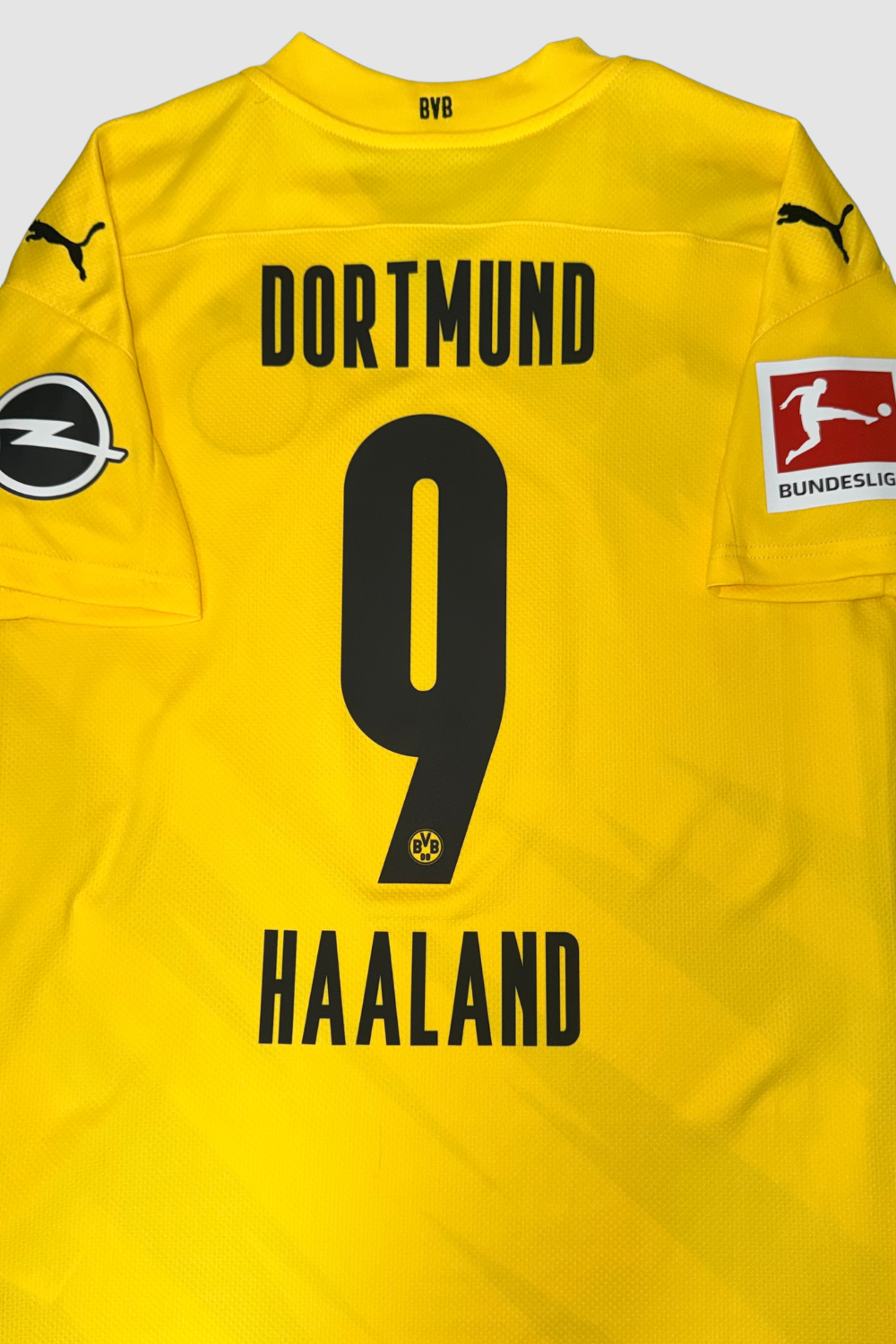 Borussia Dortmund 2020-2021 Erling Haaland