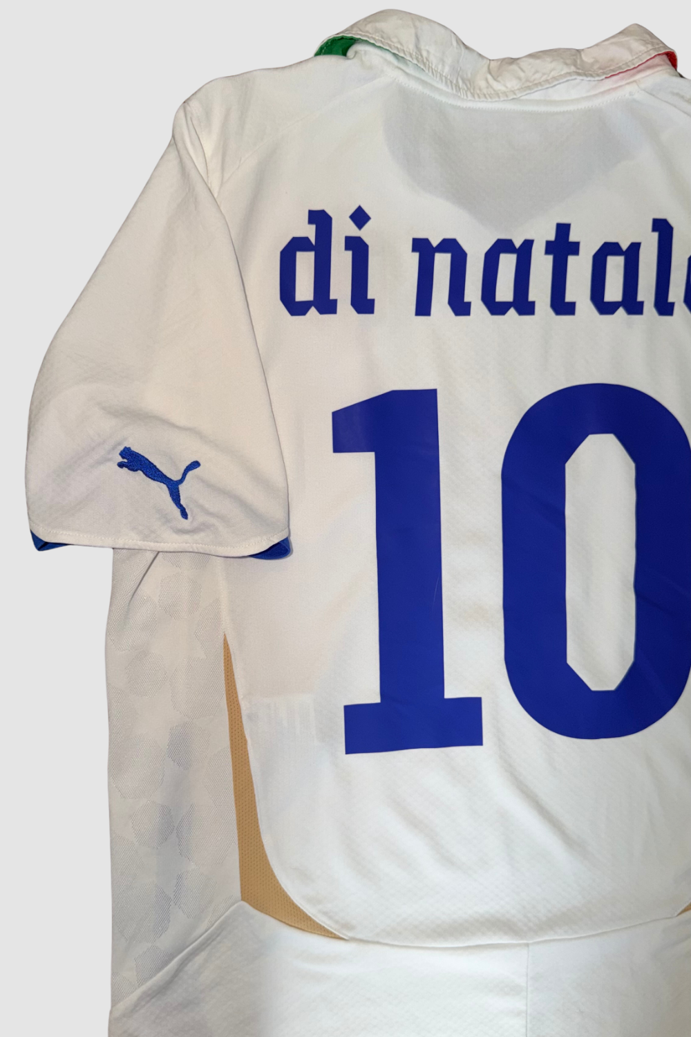 Italy World Cup 2010 Antonio Di Natale