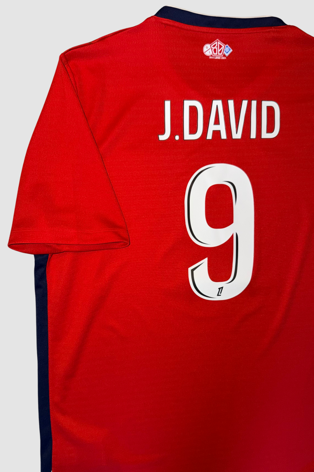 LOSC Lille 2024-2025 Jonathan David