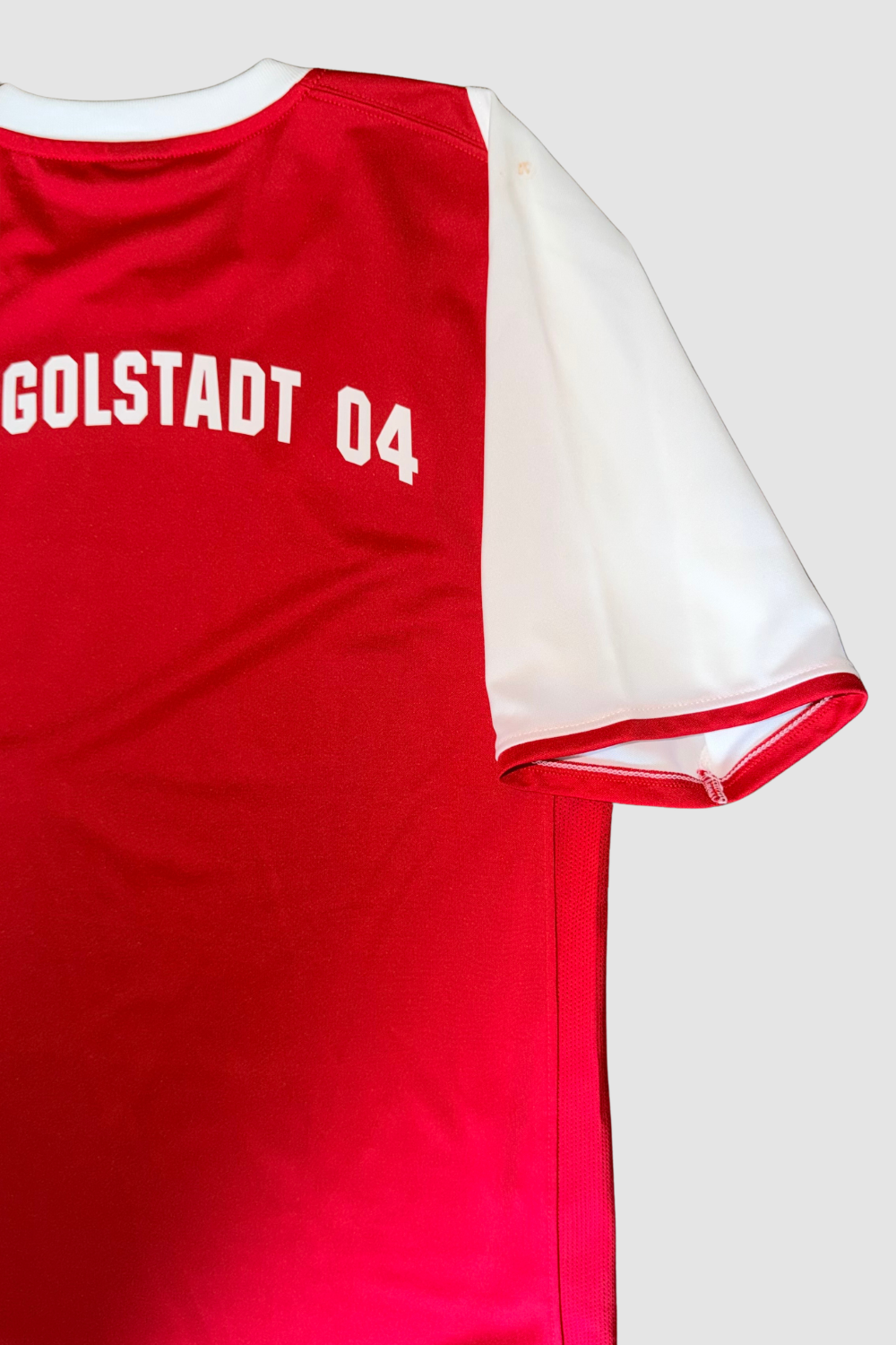 FC Ingolstadt 04 2008-2009