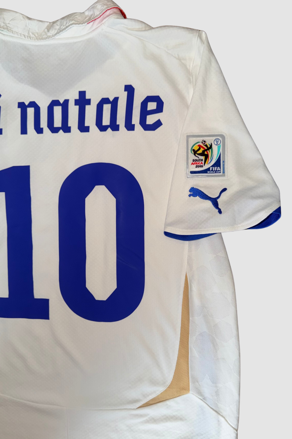 Italy World Cup 2010 Antonio Di Natale
