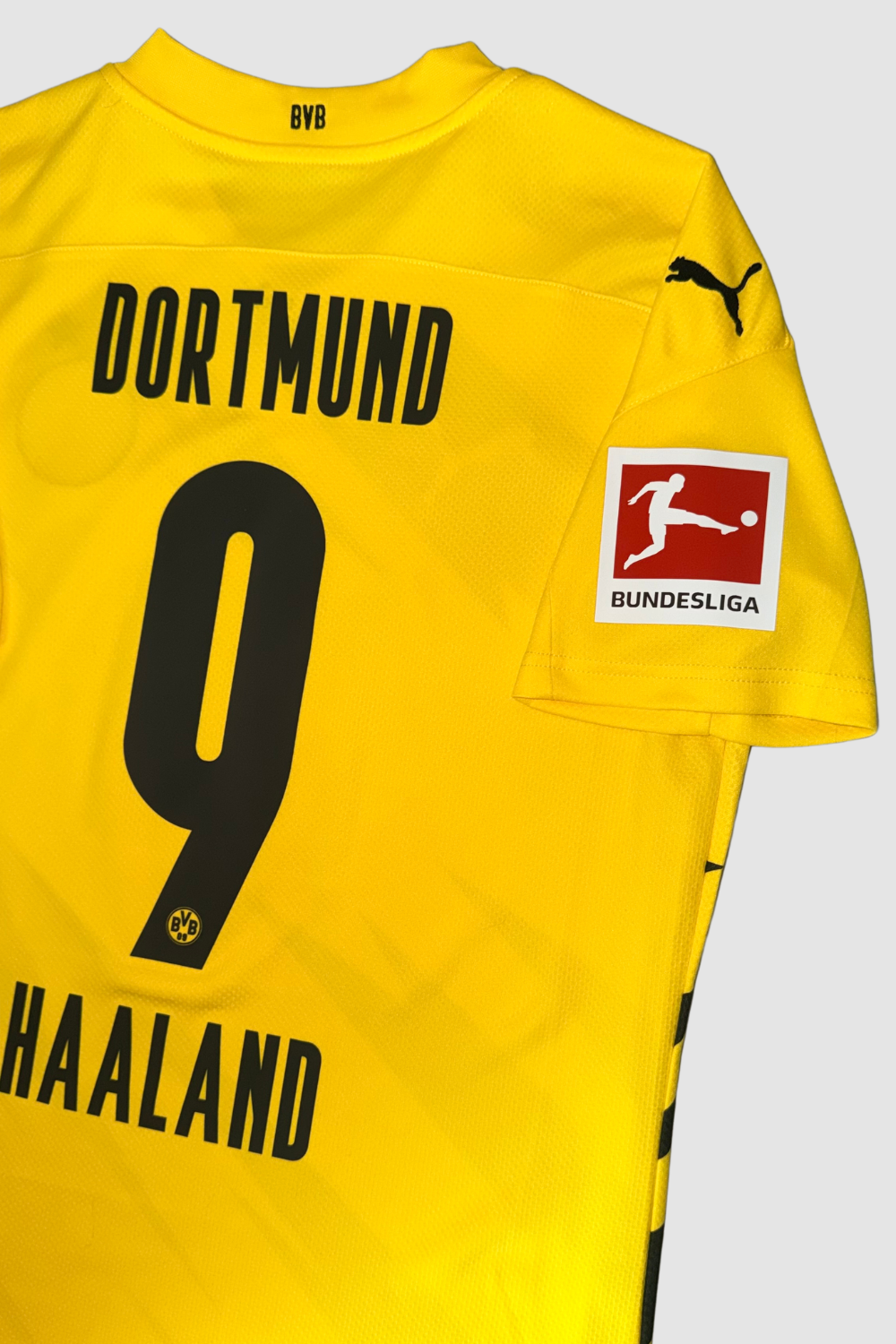 Borussia Dortmund 2020-2021 Erling Haaland