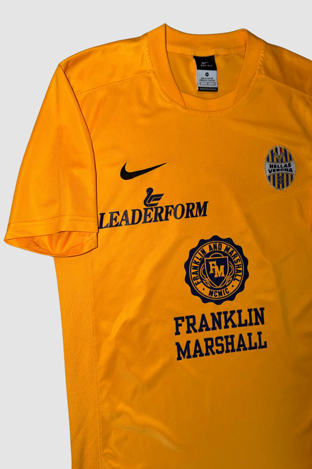 Hellas Verona 2013-2014