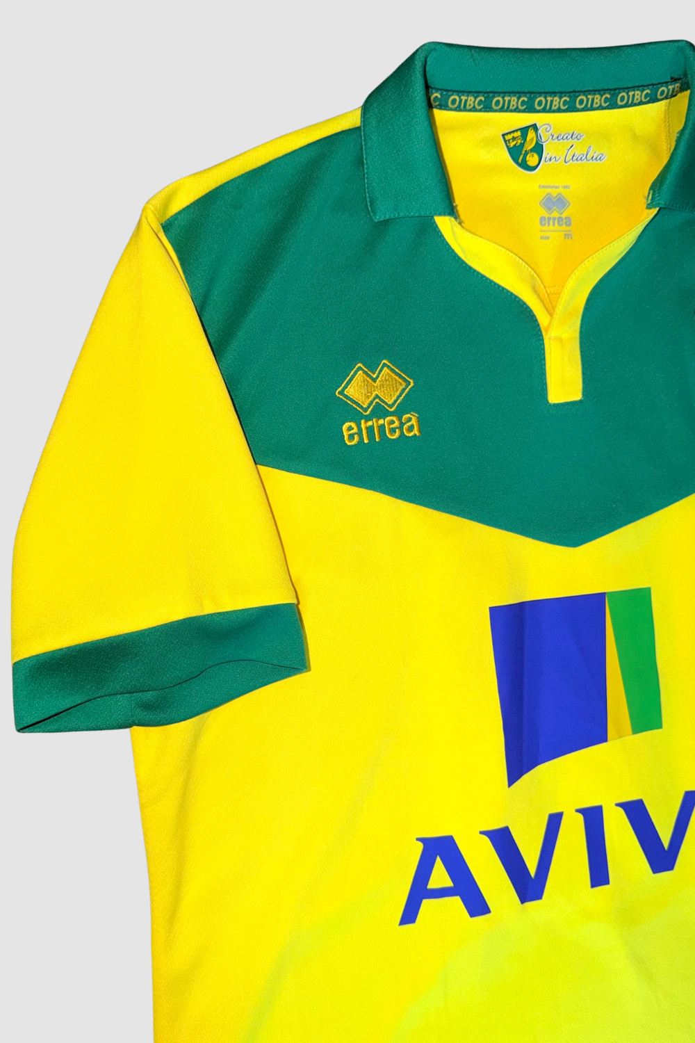 Norwich City 2014-2015 Leroy Fer