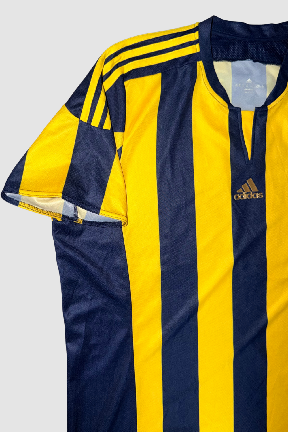 Fenerbahçe SK 2015-2016 Robin van Persie