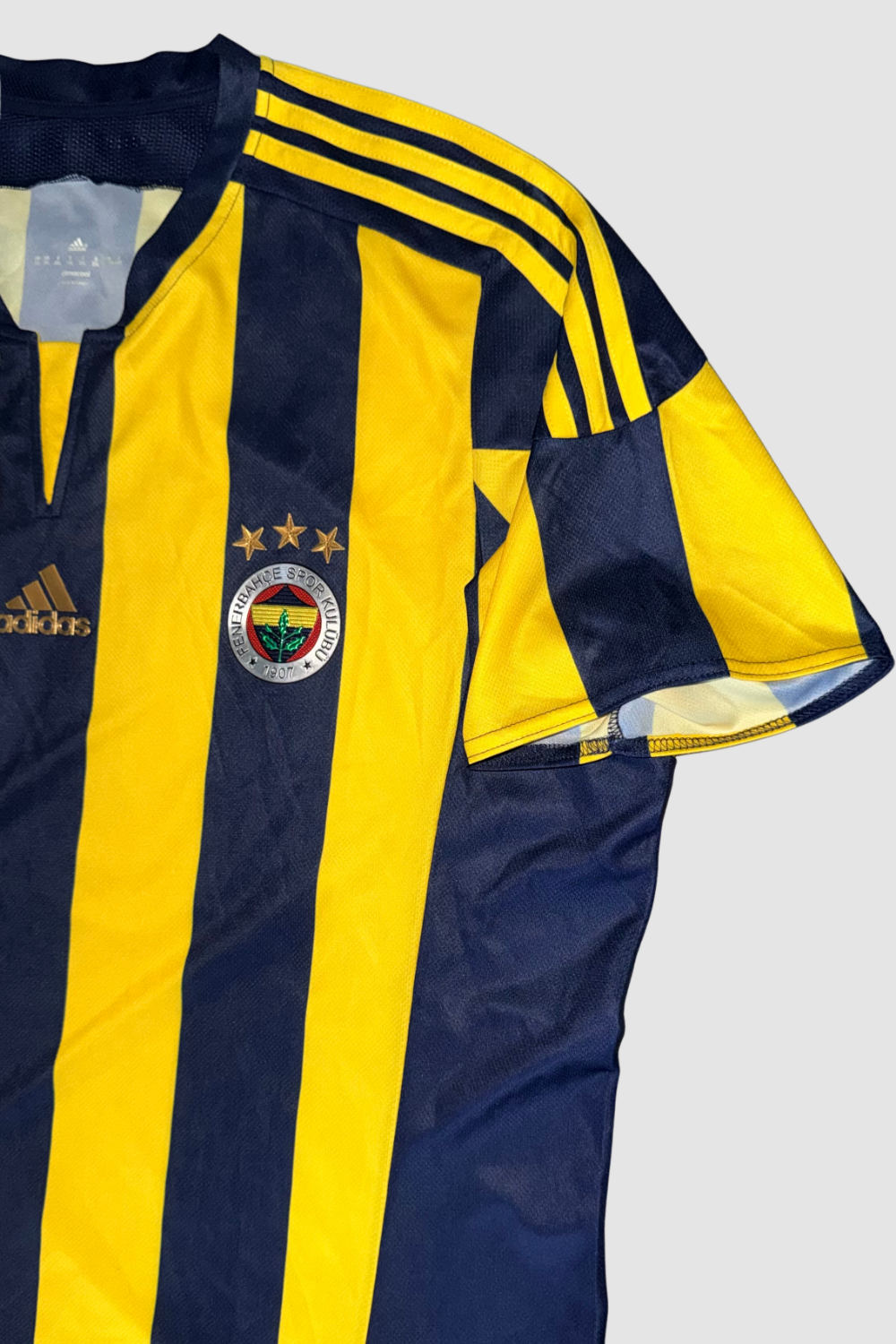 Fenerbahçe SK 2015-2016 Robin van Persie