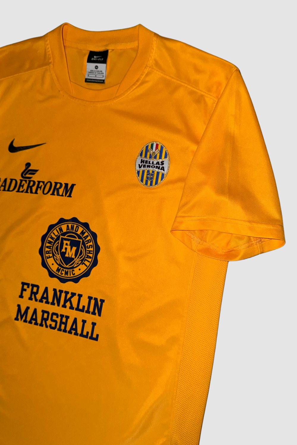 Hellas Verona 2013-2014