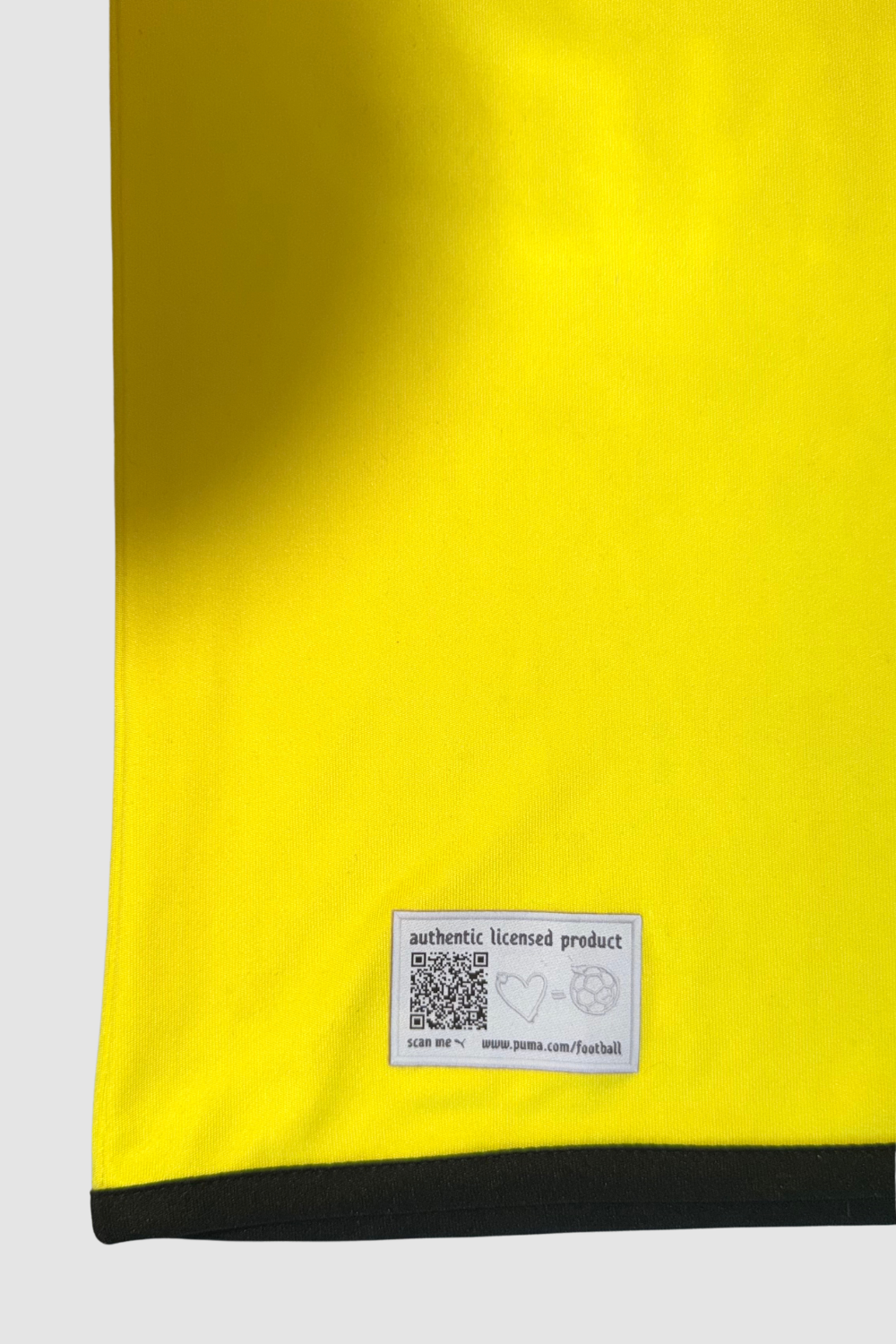 Borussia Dortmund 2012-2013 Ivan Perišić