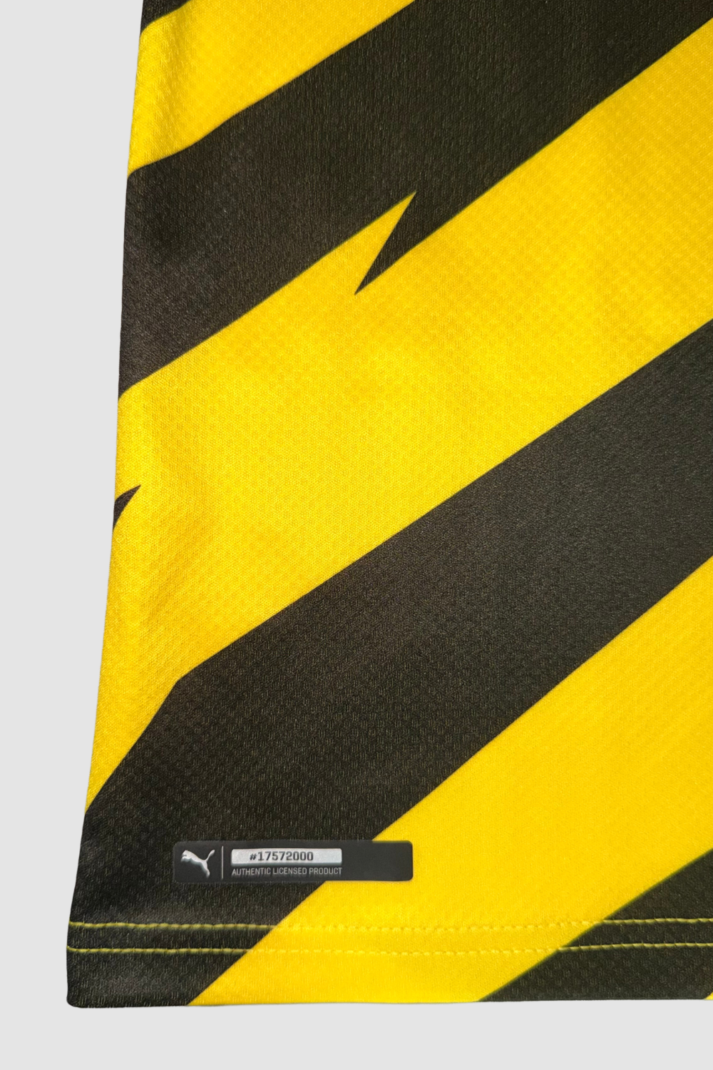 Borussia Dortmund 2020-2021 Erling Haaland