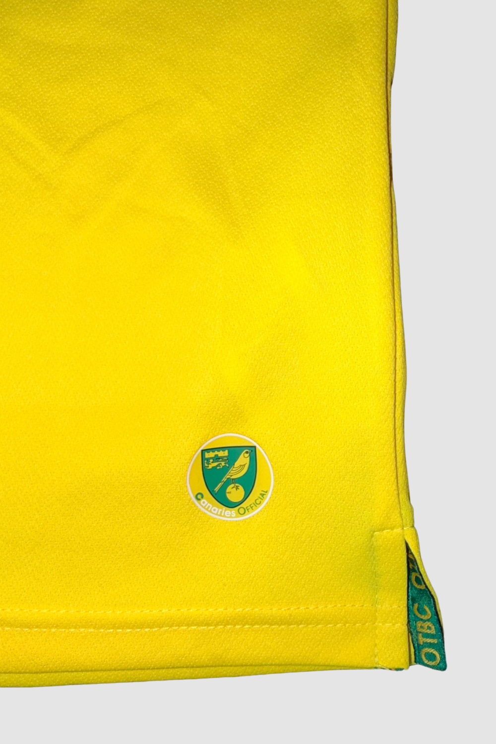 Norwich City 2014-2015 Leroy Fer