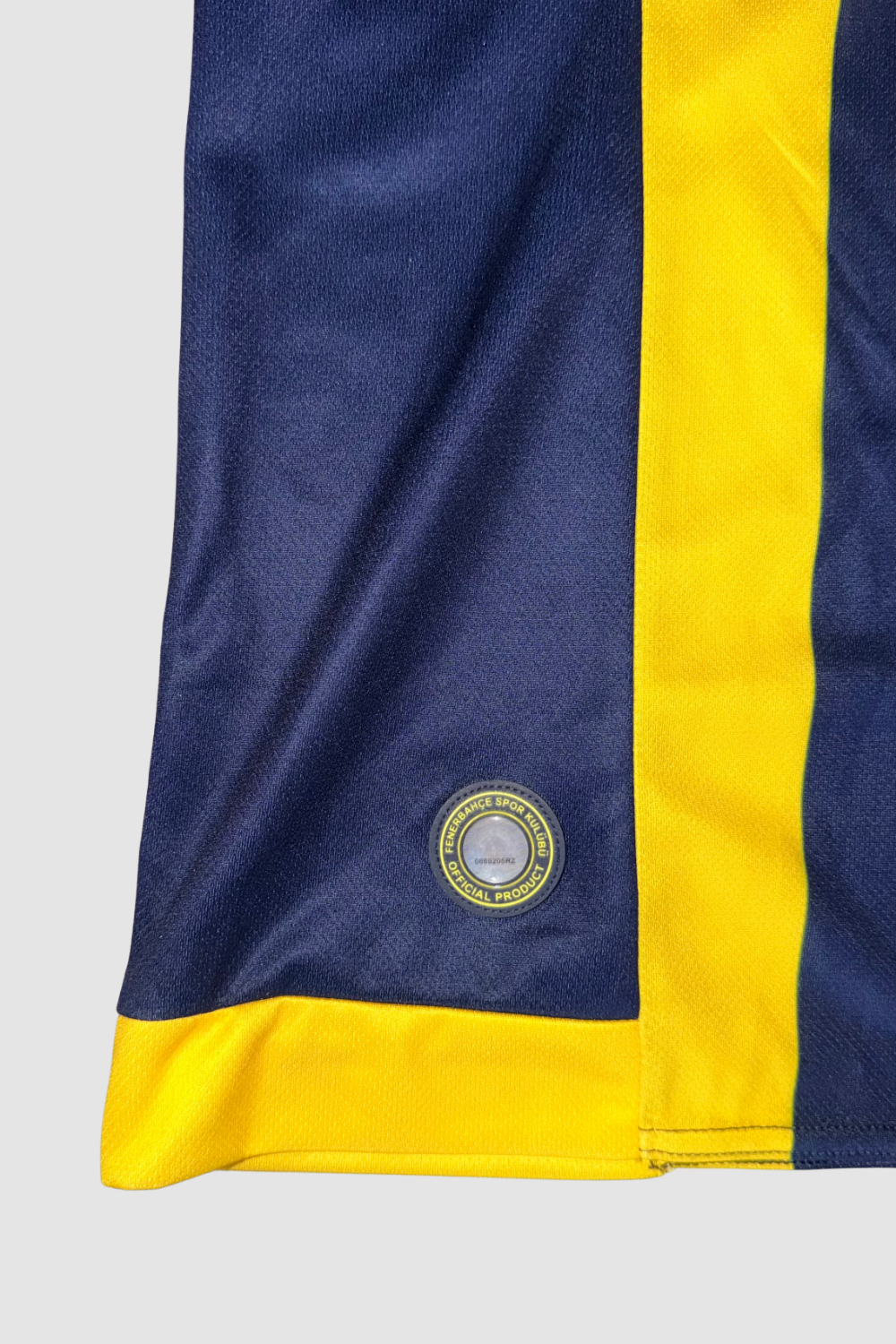 Fenerbahçe SK 2015-2016 Robin van Persie