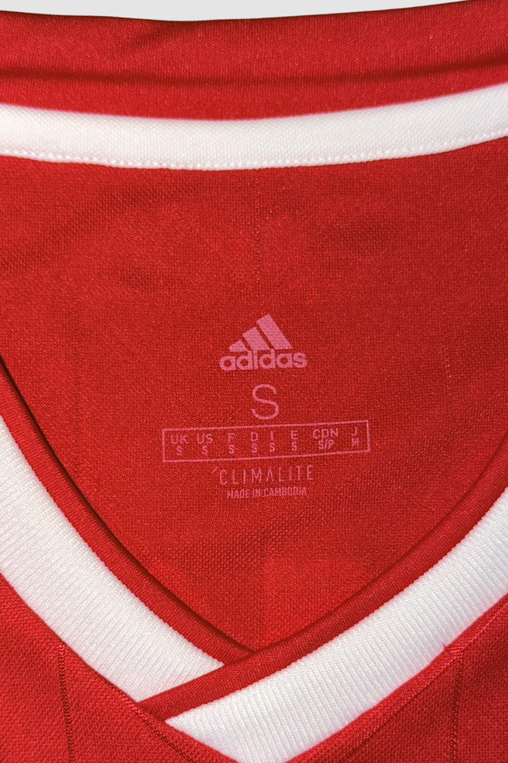AFC Ajax 2018-2019 Frenkie de Jong