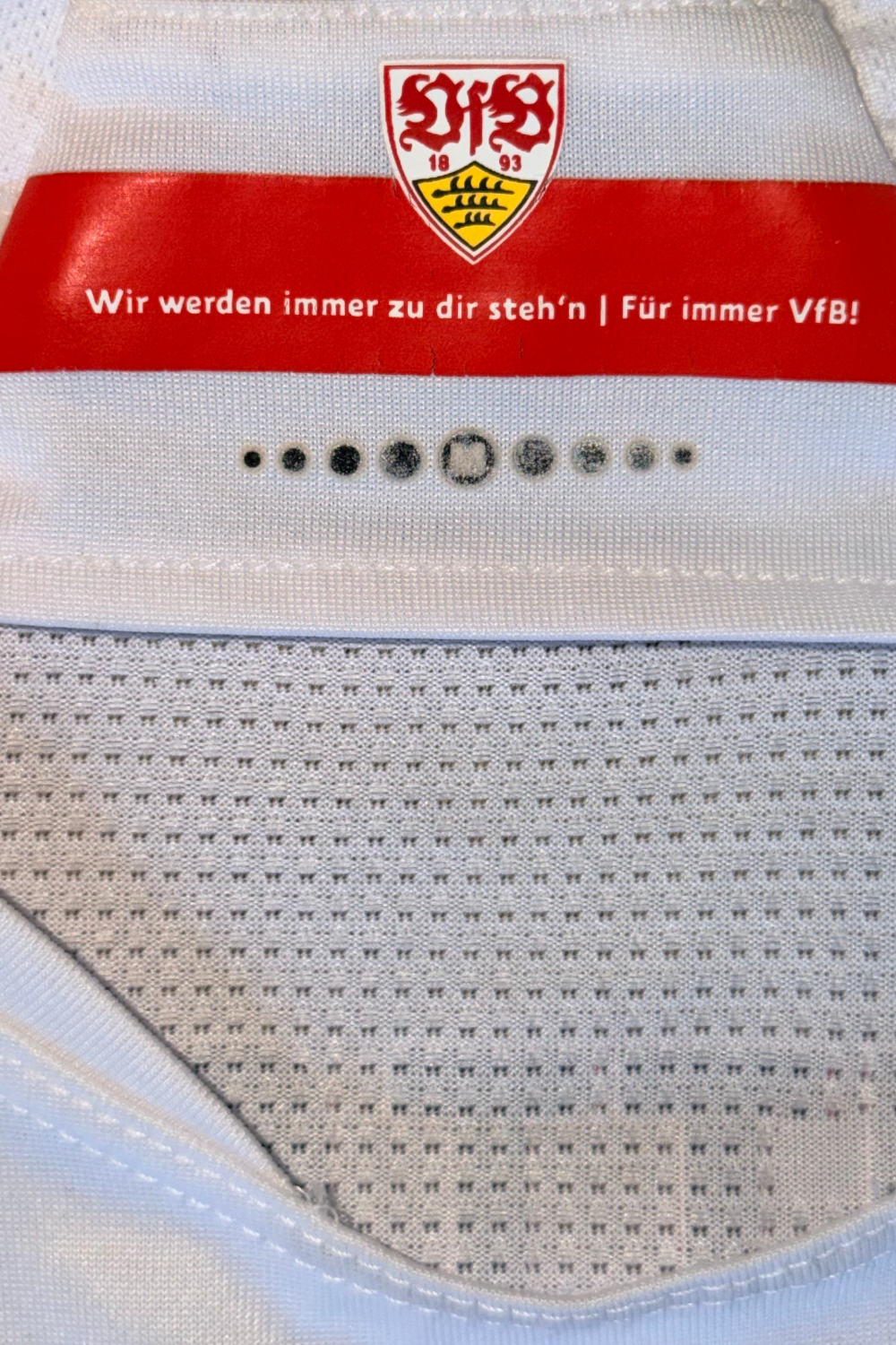 VFB Stuttgart 2019-2020 Mario Gomez